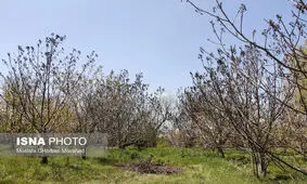 از خطر سرمازدگی محصولات کشاورزی تا خودداری از صیادی