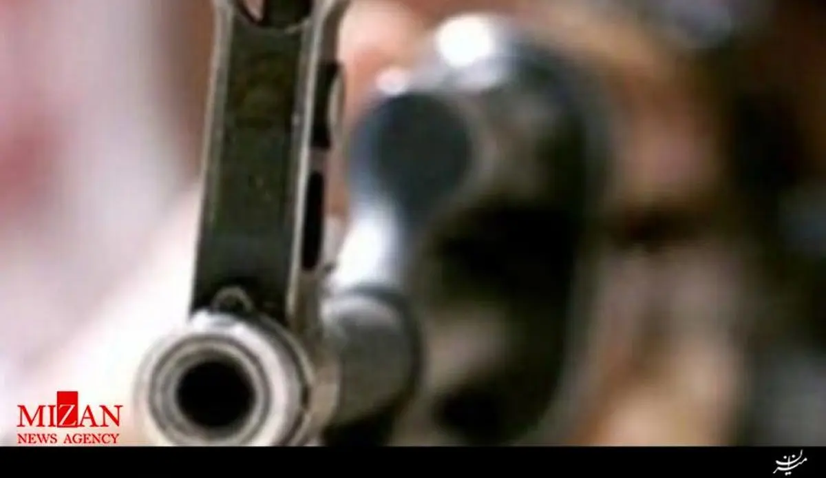 شلیک نوجوان به عابران با تاثیر از بازی‌های رایانه‌ای