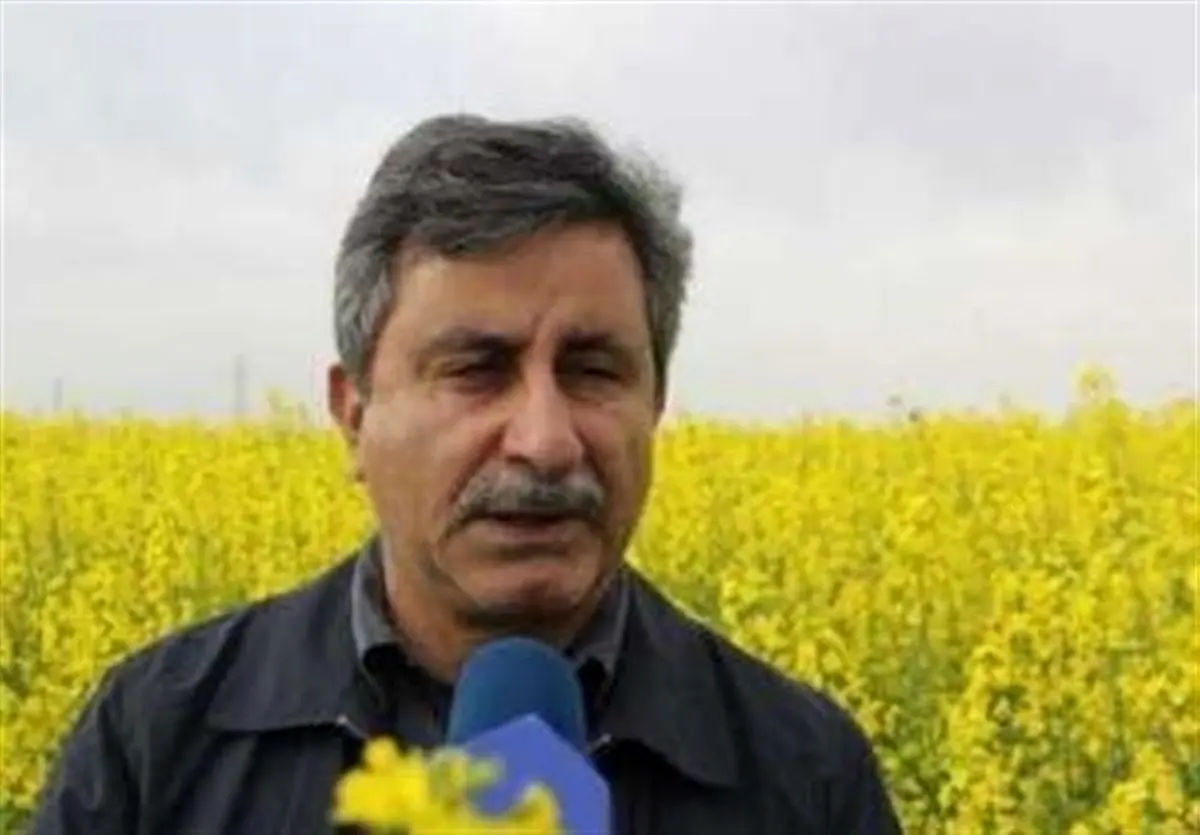 صرفه جویی ۴۵۰ میلیون دلاری واردات دانه‌های روغنی با افزایش تولید داخل