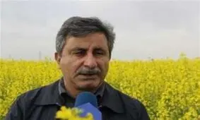 صرفه جویی ۴۵۰ میلیون دلاری واردات دانه‌های روغنی با افزایش تولید داخل