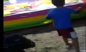 لحظه کور شدن با فرو رفتن دارت در چشم مرد + فیلم