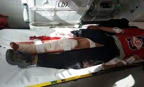 حمله خرس به یک کودک ۱۰ ساله در چهارمحال و بختیاری