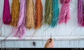 استعفا ازشغل کارمندی وآغاز کارآفرینی /سهم ۱.۲میلیونی بافندگان از فرش های میلیونی