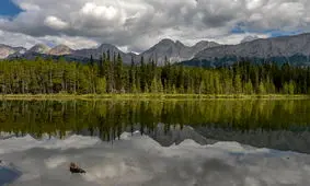 وجود ۷۰ درصد از مناطق بکر حیات‌وحش جهان در ۵ کشور