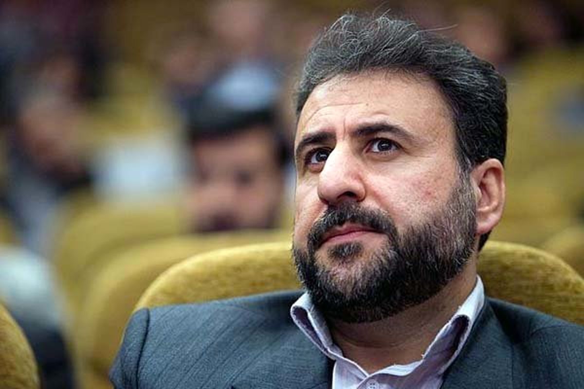 وزارتخارجه باید در برابر دانمارک اقدام متقابل انجام میداد