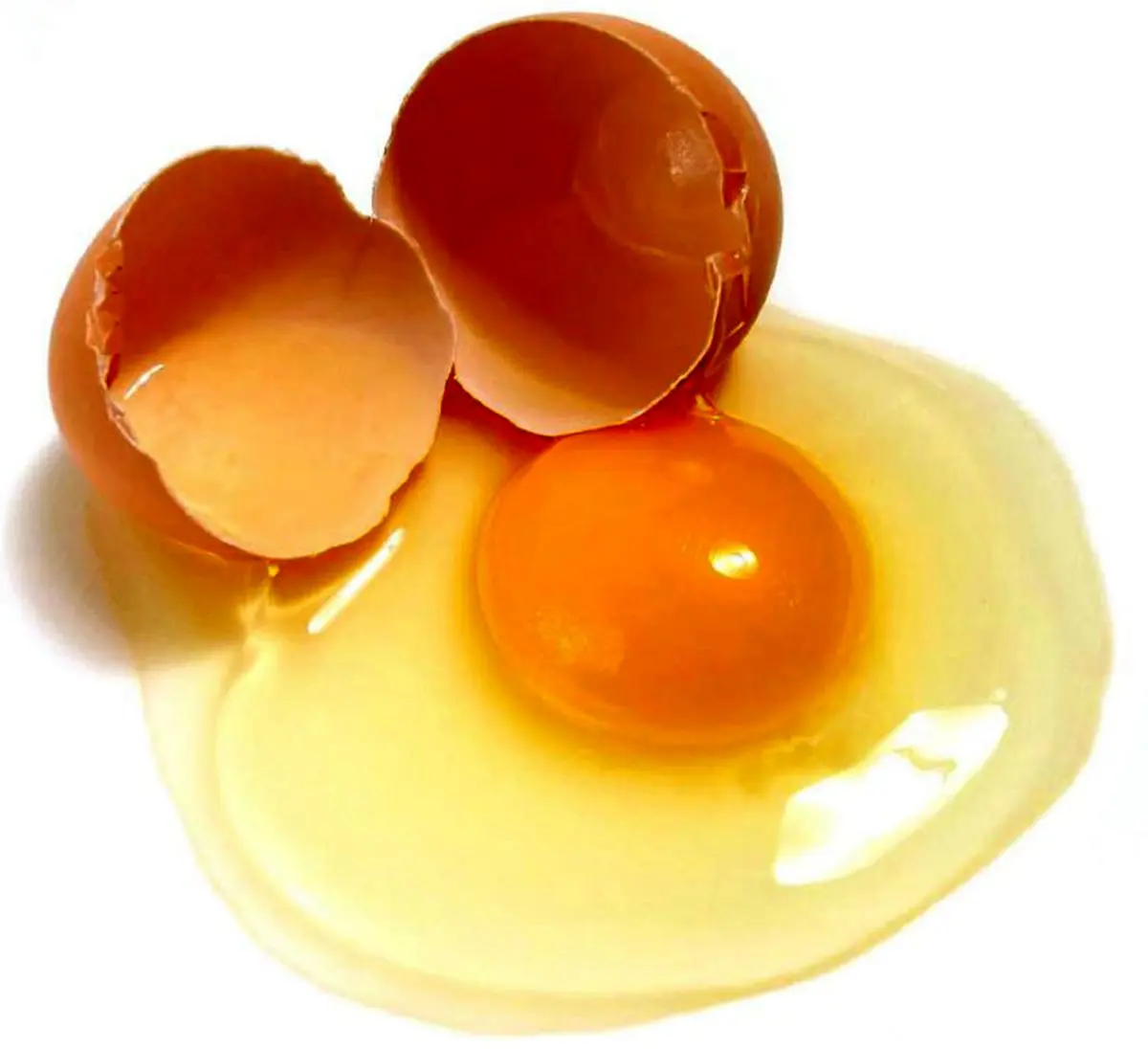 سفیده تخم مرغ چه تاثیری در سلامتی و زیبایی پوست دارد؟