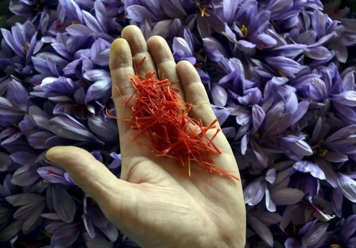 مدرن‌سازی بازار زعفران با کمک بورس کالا