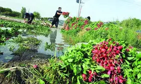 شناسایی چاه‌دارانی که آب می‌فروشند