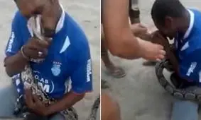 لحظه وحشتناک حمله ناگهانی مار به مارگیر+فیلم