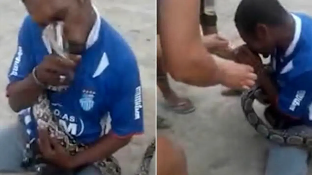 لحظه وحشتناک حمله ناگهانی مار به مارگیر+فیلم