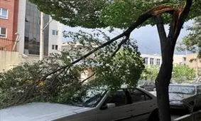 ایران در یکی از بلاخیزترین مناطق دنیا قرار دارد