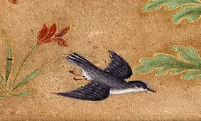 مراقبت پرنده مادر از تخم‌هایش در برابر ابزارآلات کشاورزی