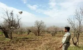 دستگیری شکارچیان متخلف در مناطق حفاظت ‌شده ثلاث باباجانی