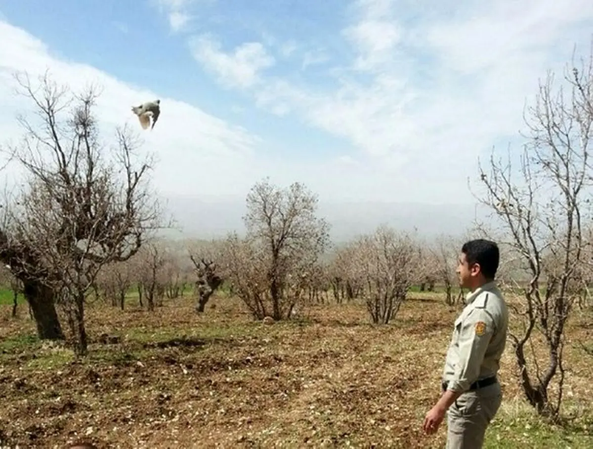 دستگیری شکارچیان متخلف در مناطق حفاظت ‌شده ثلاث باباجانی