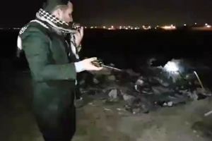 شهرداری اهواز سوزاندن ۳۰۰ قلاده سگ را تایید کرد: لاشه بودند!