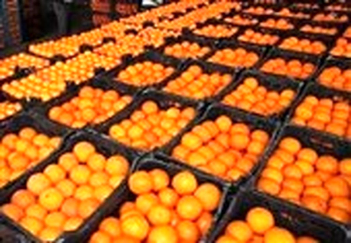 پرتقال ۲۰۰۰ تومان شد+ جدول قیمت انواع میوه