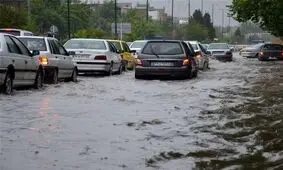 آبگرفتگی معابر بوشهر به روایت تصویر