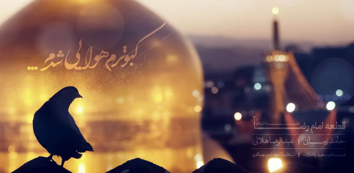 کبوترم هوایی شدم، حامد زمانی و عبدالرضا هلالی