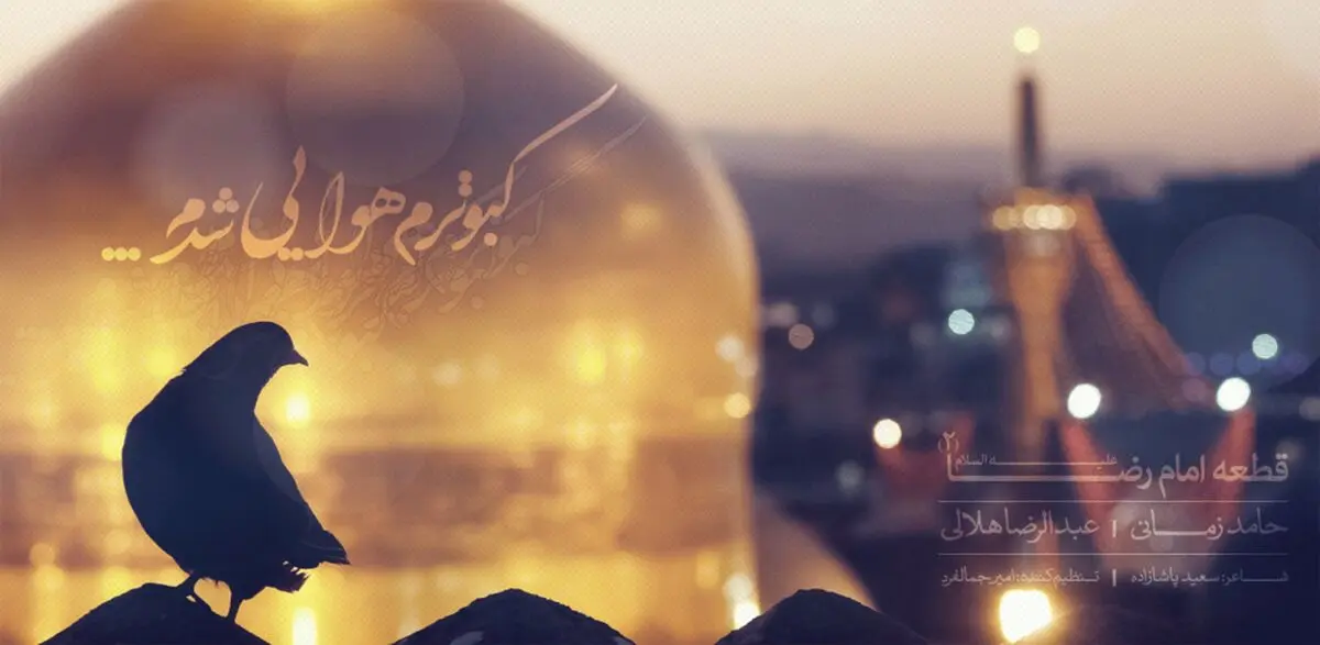 کبوترم هوایی شدم، حامد زمانی و عبدالرضا هلالی