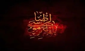 تصاویر متفاوت به مناسبت شهادت امام رضا(ع)