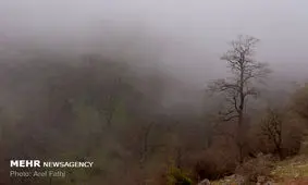 افراد گرفتار در ارتفاعات علی آبادکتول به منطقه امن منتقل شدند