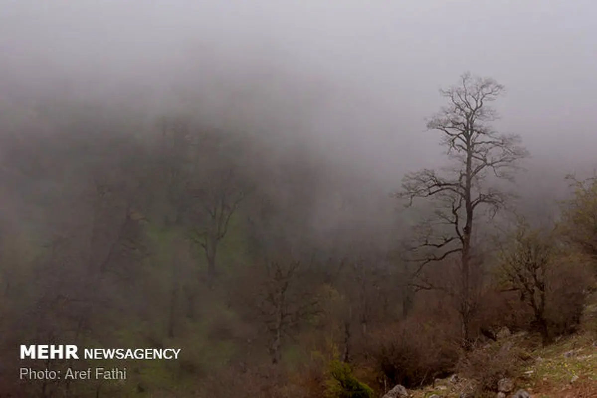 افراد گرفتار در ارتفاعات علی آبادکتول به منطقه امن منتقل شدند