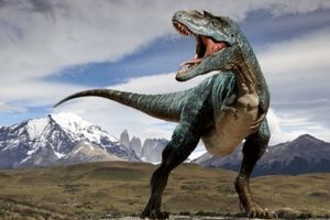 کشف یک گونه جدید از دایناسورها