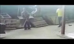 فیلم وحشتناک از سگ آزاری در زیبا کنار