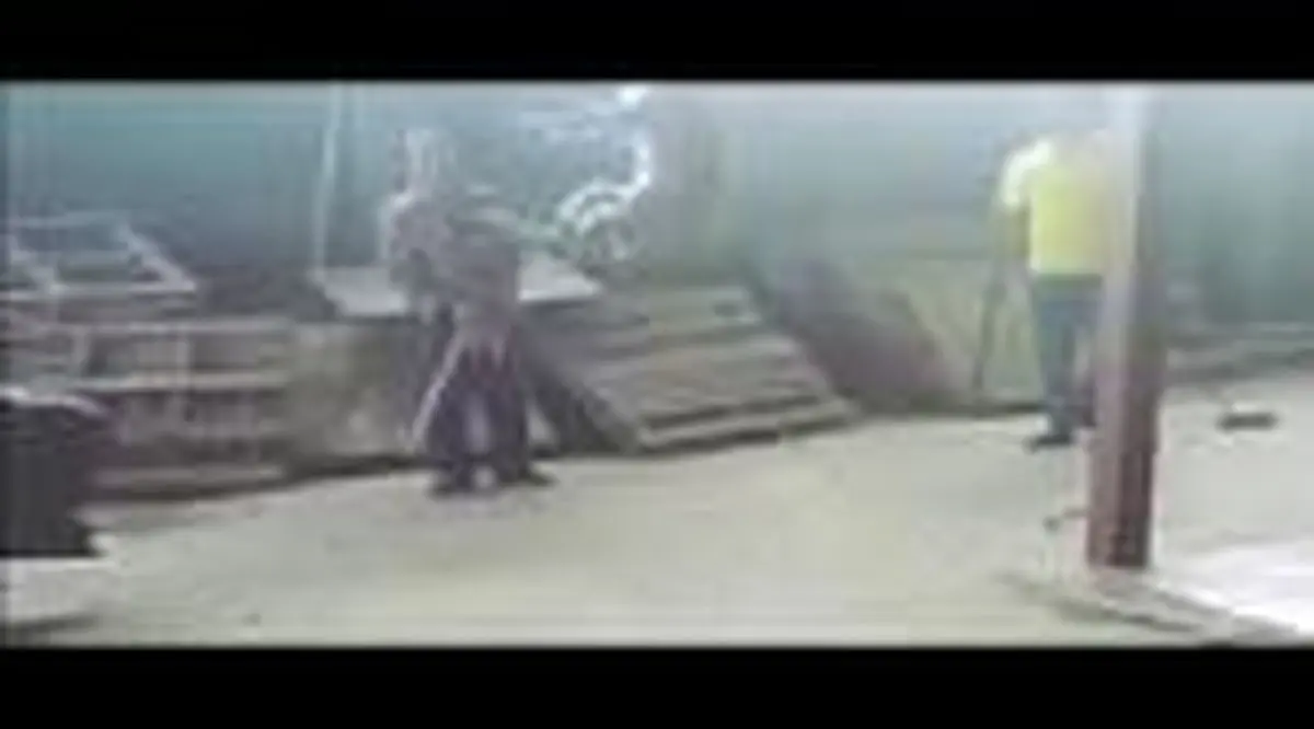 فیلم وحشتناک از سگ آزاری در زیبا کنار