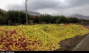 آقای وزیر کشاورزی این تصاویر را ببینید