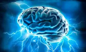 واکنش های مغز در هنگام ترس + فیلم