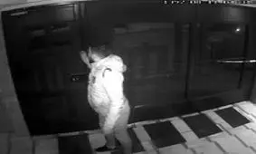 شگرد باور نکردنی سارق تهرانی در باز کردن درب اتوماتیک +فیلم