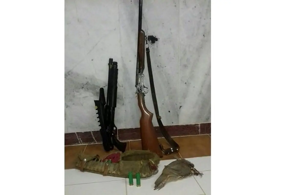 دو نفر شکارچی غیرمجاز کبک در هشترود دستگیر شدند