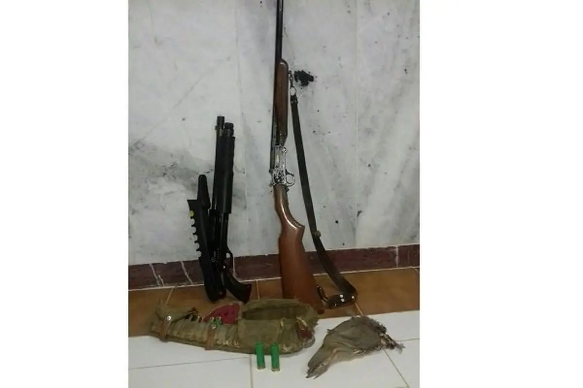 دو نفر شکارچی غیرمجاز کبک در هشترود دستگیر شدند