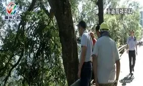 اقدام وحشیانه پدر چینی پس از اینکه فهمید فرزندش دختر است ! + عکس