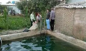 مرگ تلخ مرد میانسال در استخر شهرداری فیروزکوه