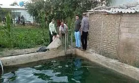 مرگ تلخ مرد میانسال در استخر شهرداری فیروزکوه