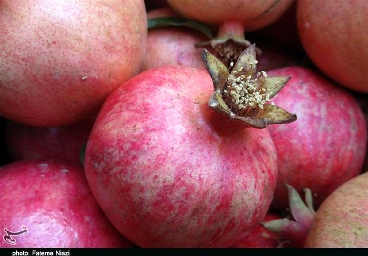 خشکسالی و سرمازدگی برداشت انار را کاهش داد