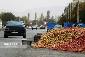 خطر تصادف با سیب؛ آهسته برانید + تصاویر