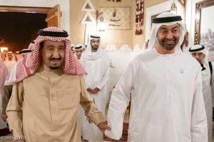 دیدار ولیعهد ابوظبی با پادشاه عربستان در غیاب بن سلمان