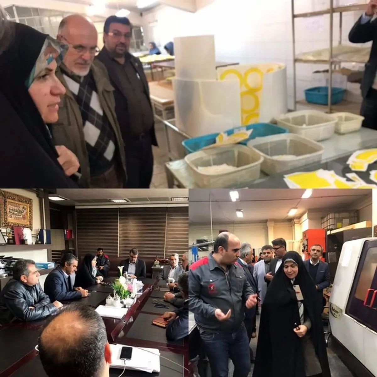 بازدید «ذوالقدر» از شرکت قطعه‌ساز خودرو و بررسی مشکلات صنعتگران