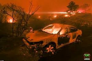 ویدئو/تصاویری پس از آتش سوزی کالیفرنیا