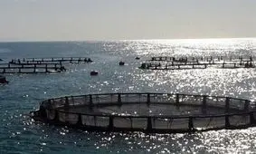 سواحل مکران میان بـُر ایران برای رسیدن به توسعه