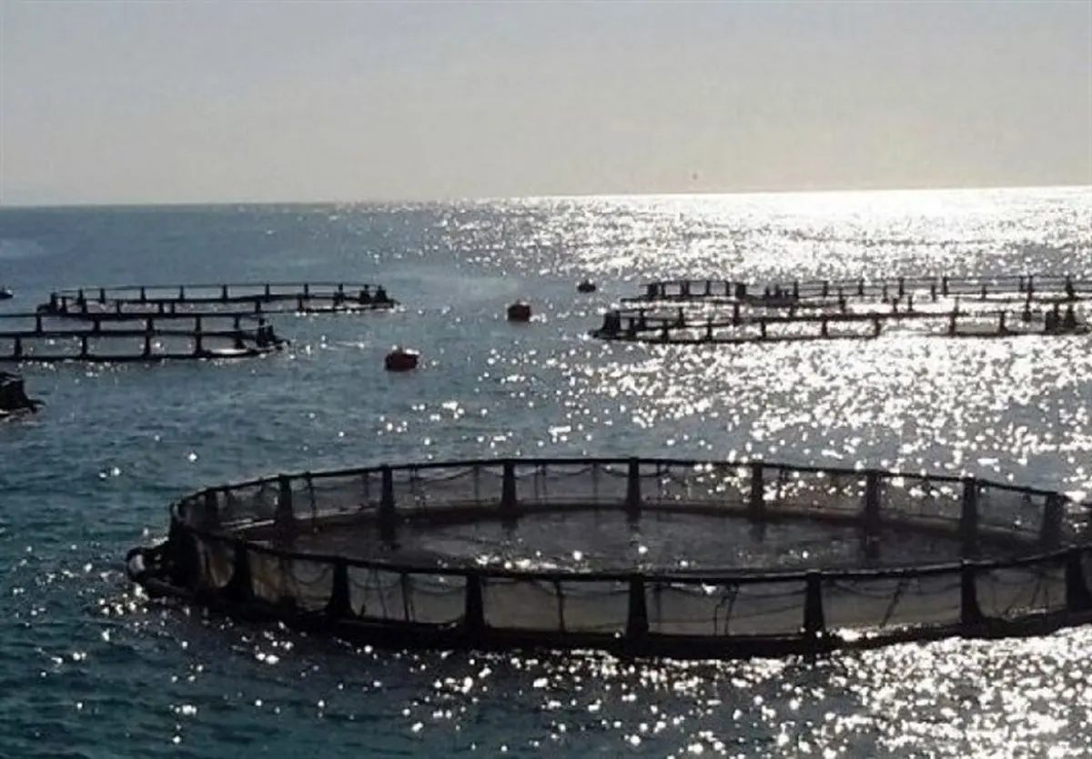 سواحل مکران میان بـُر ایران برای رسیدن به توسعه