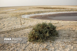 سیستان و بلوچستان در آتش سوزان خشکسالی