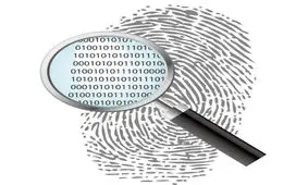 انگشت دست زیر میکروسکوپ، نحوه تعرق پوست بخوبی پیداست