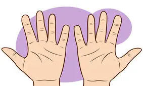 شخصیت شناسی از روی دست ها