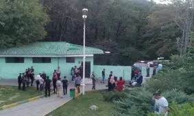 علت فوت کودک 3 ساله در محور ناهارخوران مشخص شد