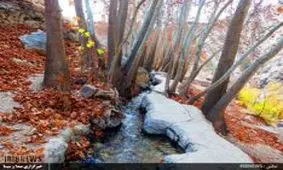 جولان رنگ های پاییزی و موسیقی آب در آبشار یاسوج