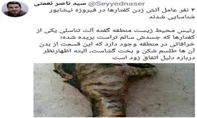 شناسایی عاملان آتش زدن کفتارها